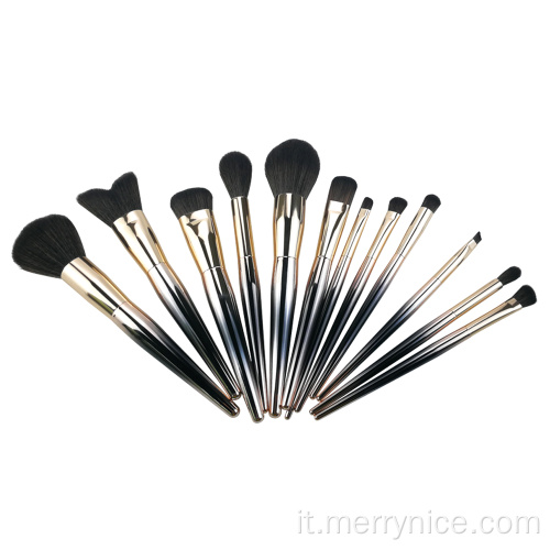 Set di pennelli Cosemtic essenziale 12PC